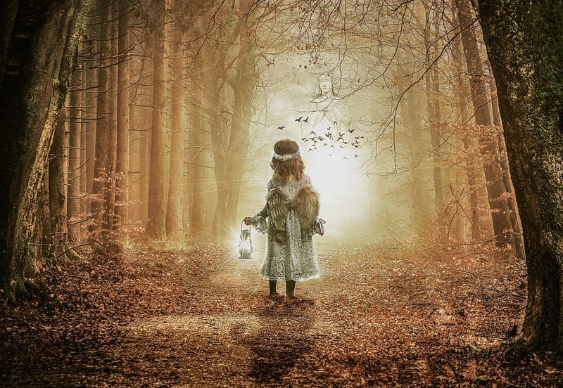 Enchanted Pathways